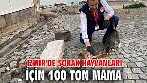 İzmir'de Sokak Hayvanları İçin 100 Ton Mama