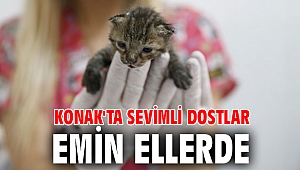 Konak'ta sevimli dostlar emin ellerde