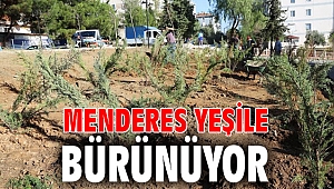Menderes Yeşile Bürünüyor