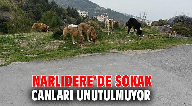 Narlıdere’de sokak canları unutulmuyor