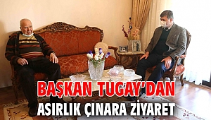 Başkan Tugay’dan asırlık çınara ziyaret