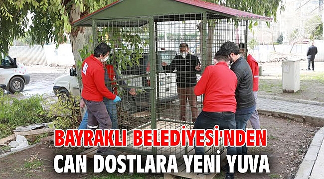 Bayraklı Belediyesi'nden can dostlara yeni yuva