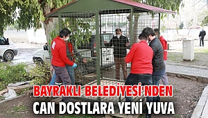 Bayraklı Belediyesi'nden can dostlara yeni yuva