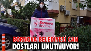 Bornova Belediyesi can dostları unutmuyor!