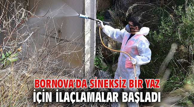 Bornova’da sineksiz bir yaz için ilaçlamalar başladı