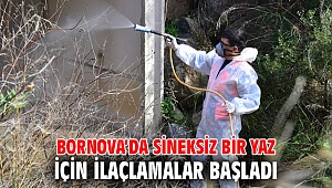 Bornova’da sineksiz bir yaz için ilaçlamalar başladı