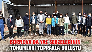 Bornova'da yaz sebzelerinin tohumları toprakla buluştu