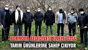 Bornova'ya özgü tarım ürünlerine sahip çıkılıyor!