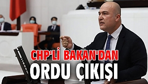 CHP'li Bakan'dan ordu çıkışı