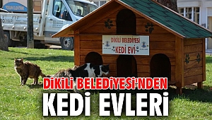 Dikili Belediyesi'nden kedi evleri 