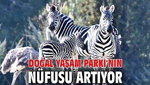 Doğal Yaşam Parkı'nın nüfusu artıyor