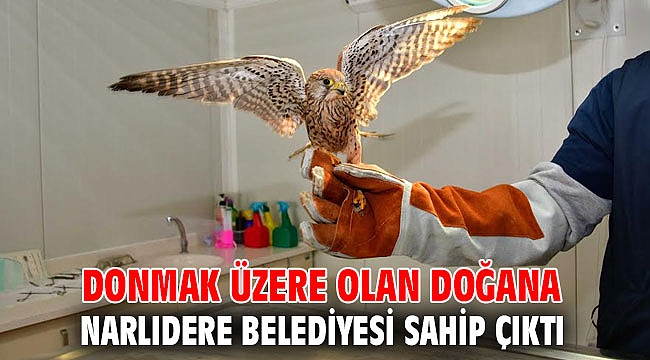 Donmak üzereydi, Narlıdere Belediyesi sahip çıktı