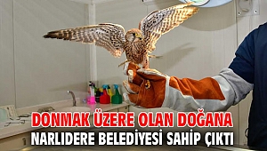 Donmak üzereydi, Narlıdere Belediyesi sahip çıktı
