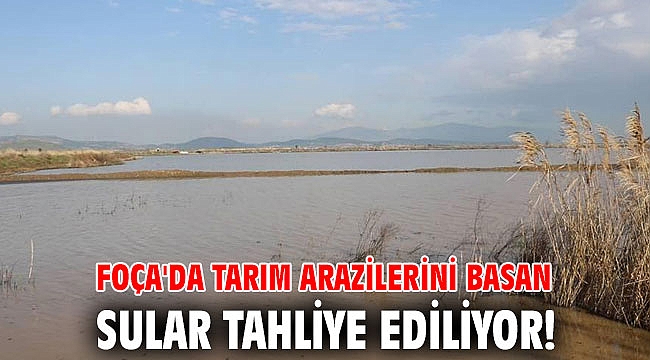 Foça'da tarım arazilerini basan sular tahliye ediliyor!