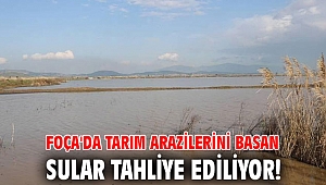 Foça'da tarım arazilerini basan sular tahliye ediliyor!