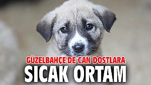 Güzelbahçe'de Can Dostlara Sıcak Ortam
