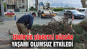 İzmir'de çatılar uçtu, ağaçlar devrildi, iskeleler hasar gördü