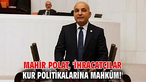 Mahir Polat, 'İhracatçılar kur politikalarına mahkûm!'
