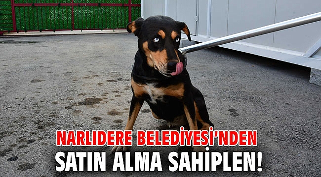 Narlıdere Belediyesi’nden satın alma sahiplen!
