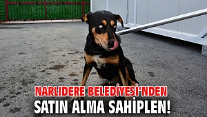 Narlıdere Belediyesi’nden satın alma sahiplen!