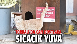 Torbalı’da can dostlara sıcacık yuva