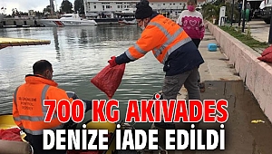 700 Kg Akivades Denize İade Edildi