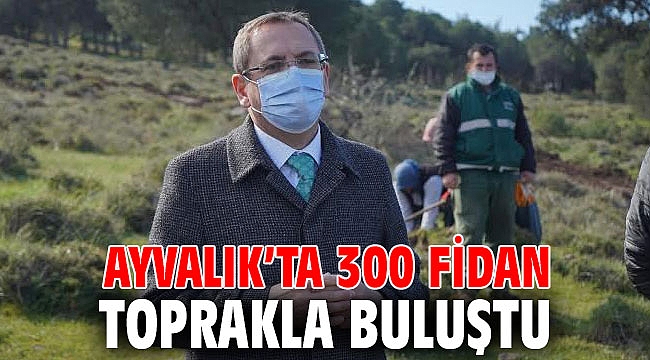 Ayvalık’ta 300 fidan toprakla buluştu