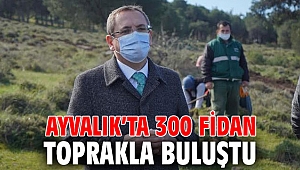 Ayvalık’ta 300 fidan toprakla buluştu