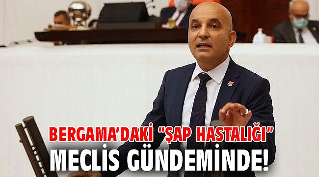 Bergama’daki “şap hastalığı” Meclis gündeminde!