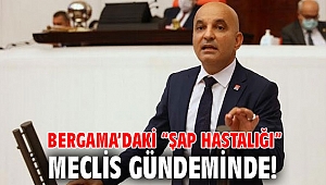 Bergama’daki “şap hastalığı” Meclis gündeminde!