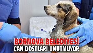 Bornova Belediyesi can dostları unutmuyor