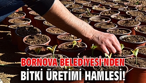 Bornova Belediyesi'nden bitki üretimi hamlesi!
