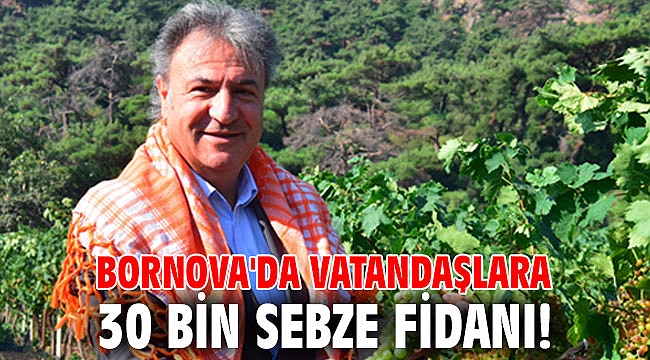 Bornova'da vatandaşlara 30 bin sebze fidanı!