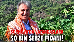 Bornova'da vatandaşlara 30 bin sebze fidanı!