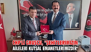 CHP'li Gruşçu, 