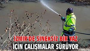 İzmir'de sineksiz bir yaz için çalışmalar sürüyor
