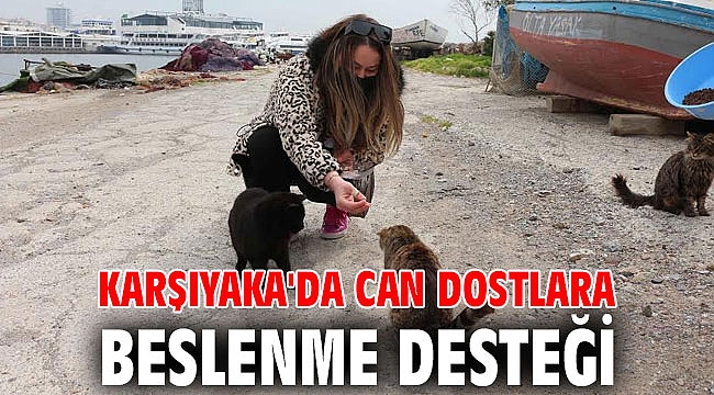 Karşıyaka'da can dostlara beslenme desteği
