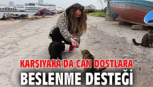 Karşıyaka'da can dostlara beslenme desteği 