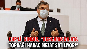 Milletvekili Sındır, 