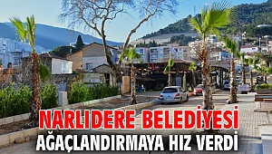Narlıdere Belediyesi ağaçlandırmaya hız verdi 