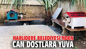 Narlıdere Belediyesi’nden can dostlara yuva