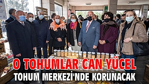 O tohumlar Can Yücel Tohum Merkezi'nde korunacak