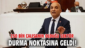250 bin çalışanın olduğu sektör durma noktasına geldi!