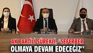AK Partili Sürekli, 