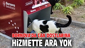 Bornova’da can dostlarına hizmette ara yok