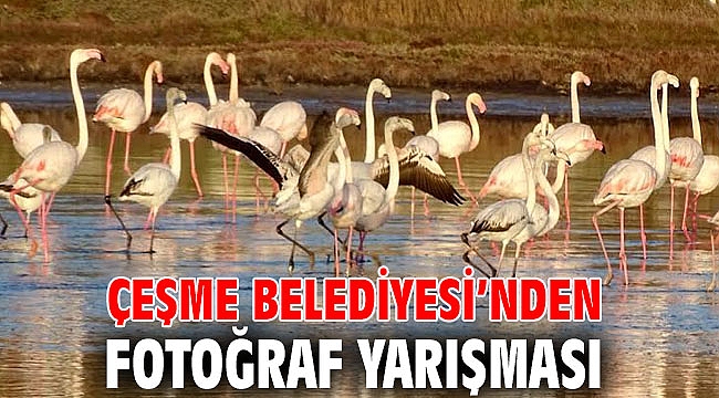 Çeşme Belediyesi’nden fotoğraf yarışması