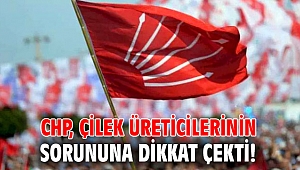 CHP, çilek üreticilerinin sorununa dikkat çekti!
