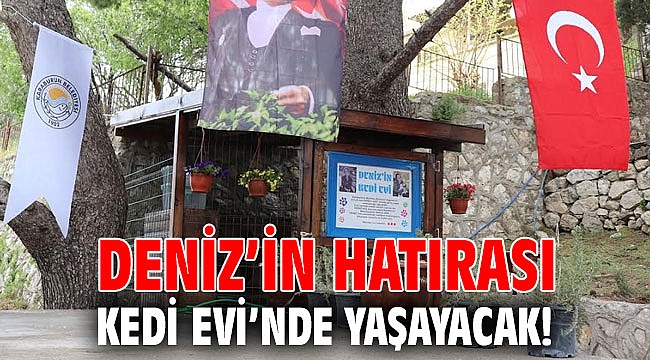 Deniz’in hatırası Kedi Evi’nde yaşayacak!