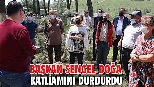 Efes Selçuk’ta Başkan Sengel doğa katliamını durdurdu