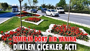 İzmir'in dört bir yanına dikilen çiçekler açtı